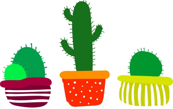 Set Dari Dekoratif Cactus Pot Tanaman Vektor Atau Ilustrasi Warna - Stok Vektor