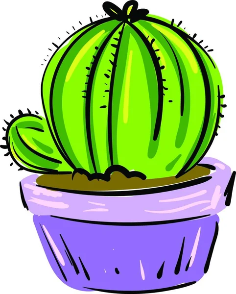 Lila Kruka Med Kaktus Växt Vektor Eller Färg Illustration — Stock vektor