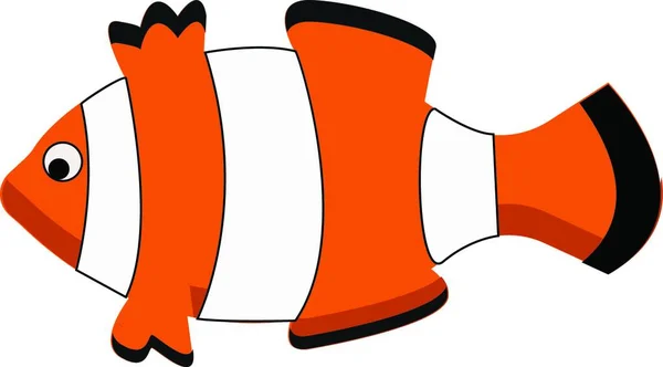 Beautiful Clownfish Vector Color Illustration — Stock Vector