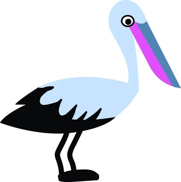 Pelikanvogel Mit Buntem Schnabel Vektor Oder Farbiger Illustration — Stockvektor