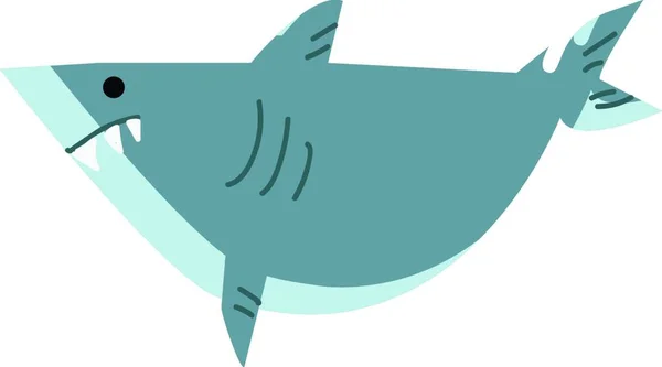 Tubarão Irritado Procura Vetor Presas Ilustração Cores —  Vetores de Stock