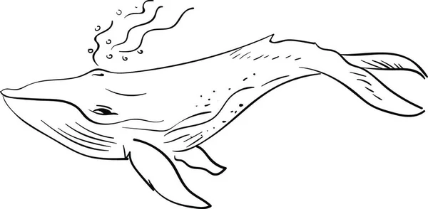Vector Illustration Cartoon Funny Whale — Stock Vector