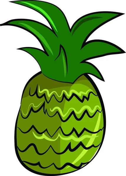 Färsk Ananas Frukt Vektor Eller Färg Illustration — Stock vektor