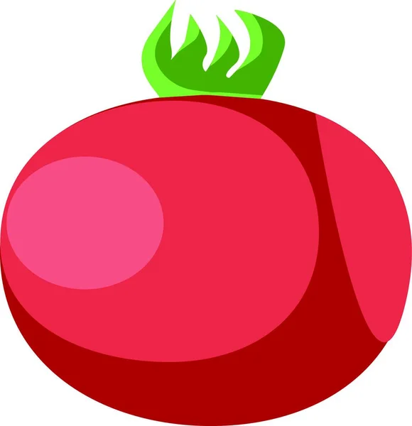 Friska Färsk Röd Tomat Vektor Eller Färg Illustration — Stock vektor