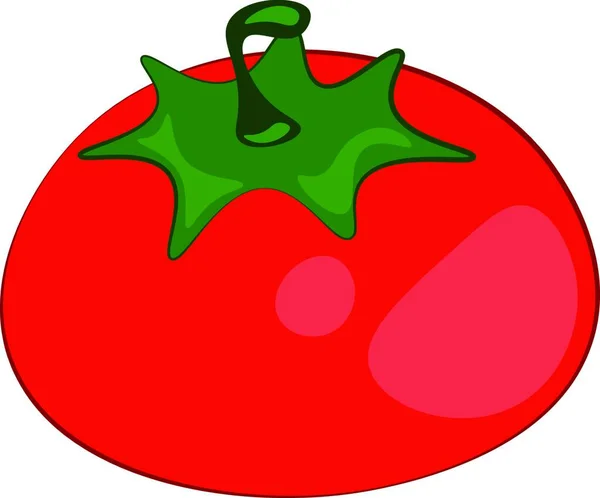 Vetor Tomate Ameixa Vermelha Fresca Saudável Ilustração Cor — Vetor de Stock
