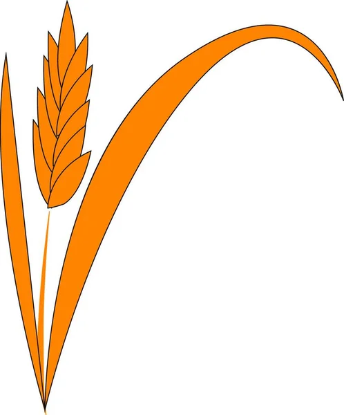 Вектор Цветная Иллюстрация Травы Пшеницы — стоковый вектор