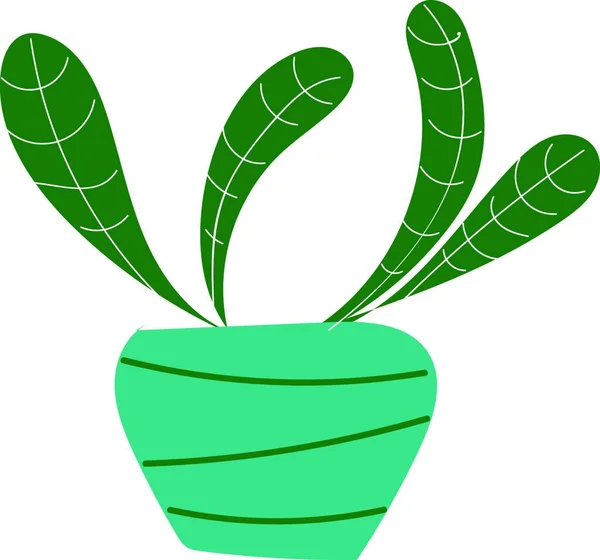 Planta Verde Con Rayas Blancas Maceta Turquesa Con Ilustración Vectorial — Vector de stock