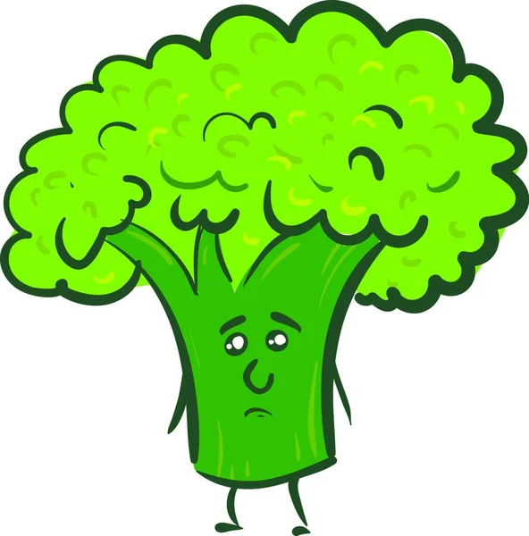 Beyaz Arka Planda Sad Yeşil Brocolli Vektör Illüstrasyon — Stok Vektör