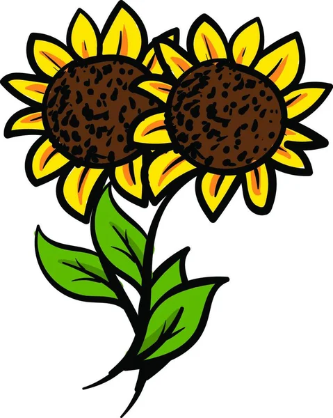 Zwei Gelbe Sonnenblumen Mit Grünen Blättern Vektor Illustration Auf Weißem — Stockvektor