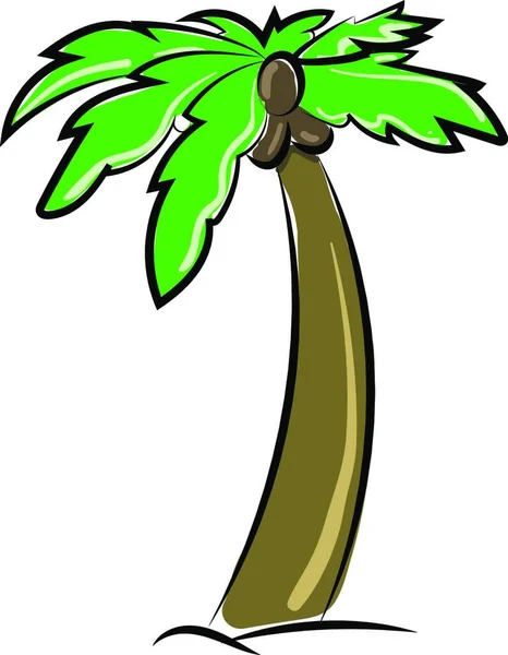 Una Palmera Tropical Joven Hermosa — Vector de stock