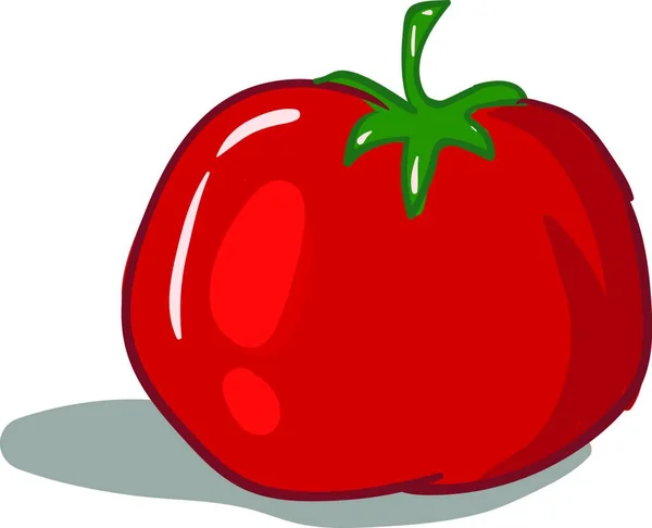 白い背景に漫画の赤いトマトのベクトルイラスト — ストックベクタ