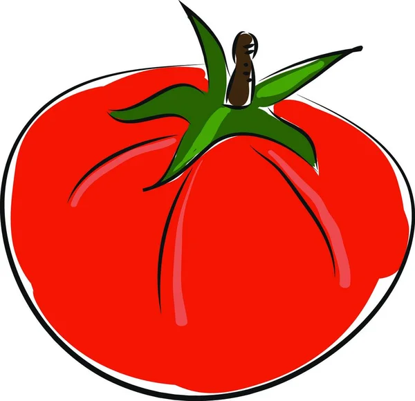 Dibujos Animados Rojo Tomate Vector Ilustración Sobre Fondo Blanco — Archivo Imágenes Vectoriales