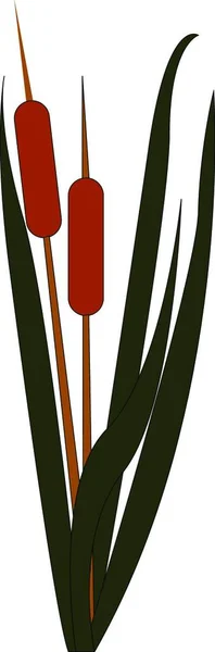 Gambar Vektor Bambu Kartun Sederhana Pada Latar Belakang Putih - Stok Vektor