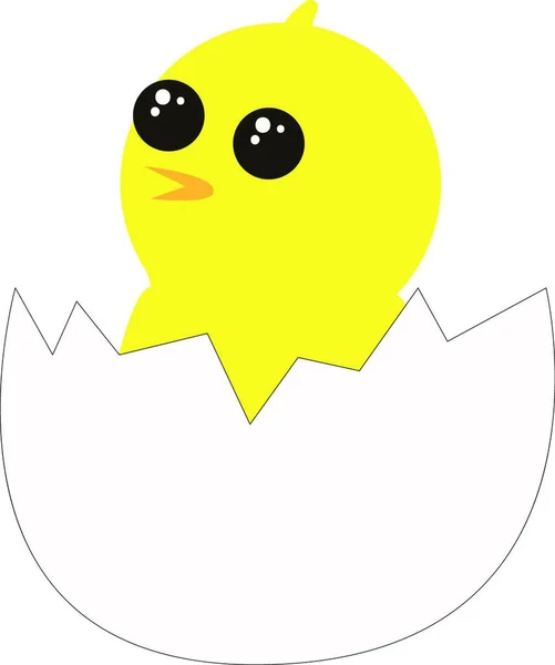 Gele Chick Van Illustratie Vector Witte Achtergrond — Stockvector