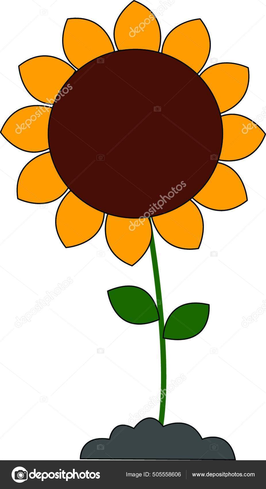 植物ベクトルカラードローイングやイラストで大きく成長したヒマワリ ストックベクター ©PantherMediaSeller 505558606, image size:926x1700