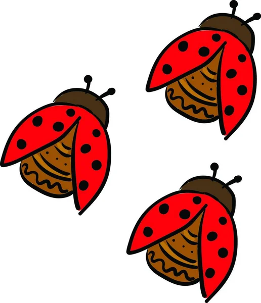 三个可爱的圆顶状的红色小甲虫 身上有一些图案和黑点 它们都是爬行的矢量彩绘或插图 — 图库矢量图片
