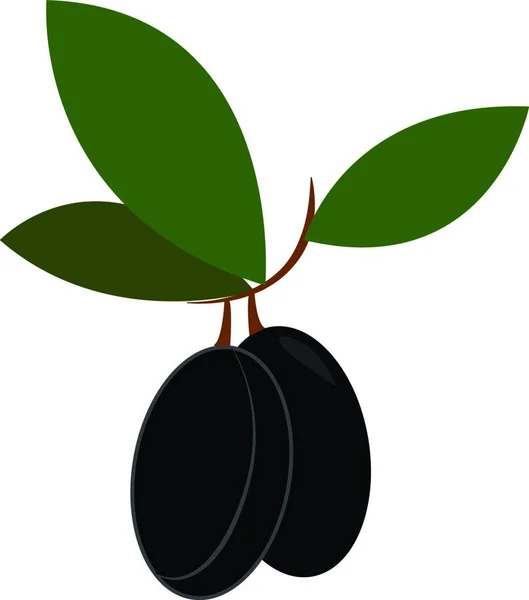 小枝矢量彩绘或插图上有三片椭圆形深绿色叶子的黑色卡通橄榄 — 图库矢量图片