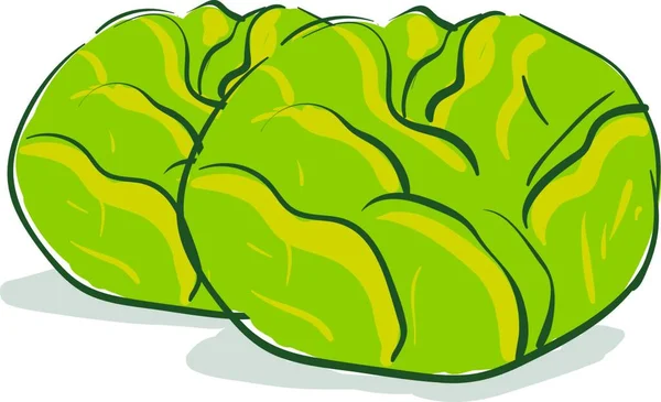 绿色和白色卷心菜的插图 — 图库矢量图片