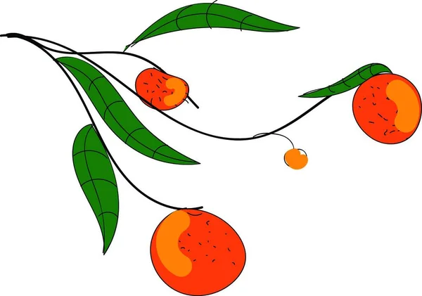 Illustrazione Vettoriale Una Serie Frutti — Vettoriale Stock