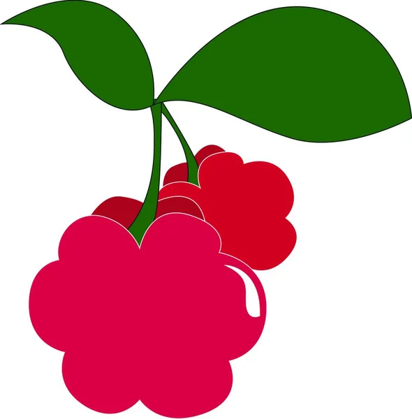 Ilustración Una Cereza Roja — Vector de stock