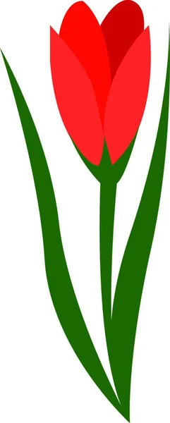 Tulipán Flor Vector Ilustración — Vector de stock