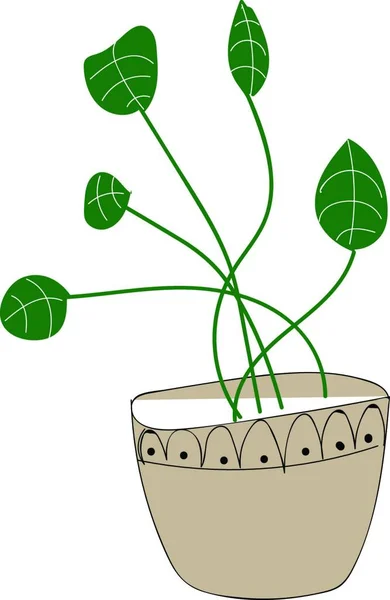 Planta Redonda Ilustración Vector Sobre Fondo Blanco — Archivo Imágenes Vectoriales