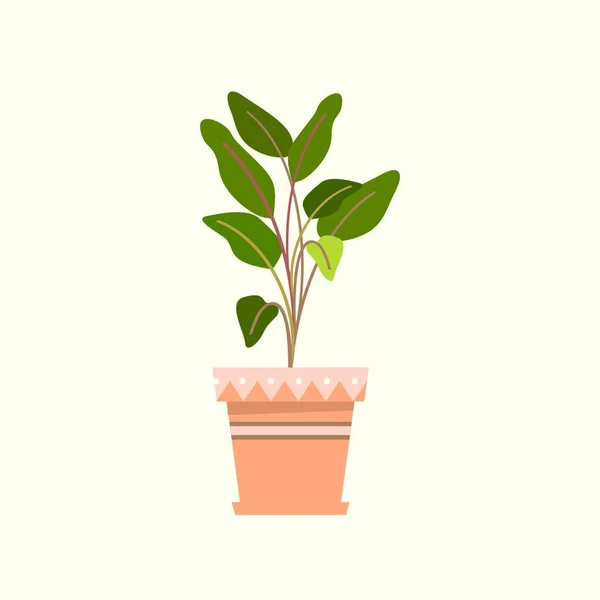 Свежее Маленькое Зеленое Растение Оранжевом Горшке — стоковый вектор