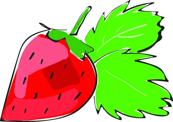Ένα Σκίτσο Της Φράουλας Δύο Μεγάλα Φύλλα Αυτό Διανυσματικό Χρώμα — Διανυσματικό Αρχείο