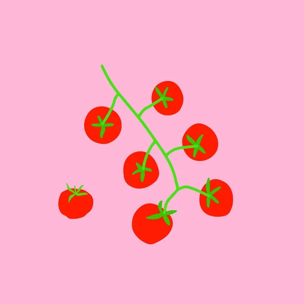 Ett Gäng Tomater Som Fullt Mogen Och Söt Vektor Färg — Stock vektor