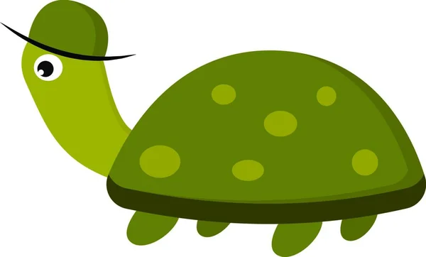 Eine Grüne Schildkröte Mit Flecken Darauf Die Eine Grüne Kappenvektorfarbenzeichnung — Stockvektor