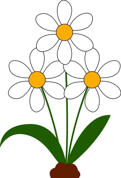 A beautiful bunch of daisies flowers in white color with green leaves vector color drawing or illustration