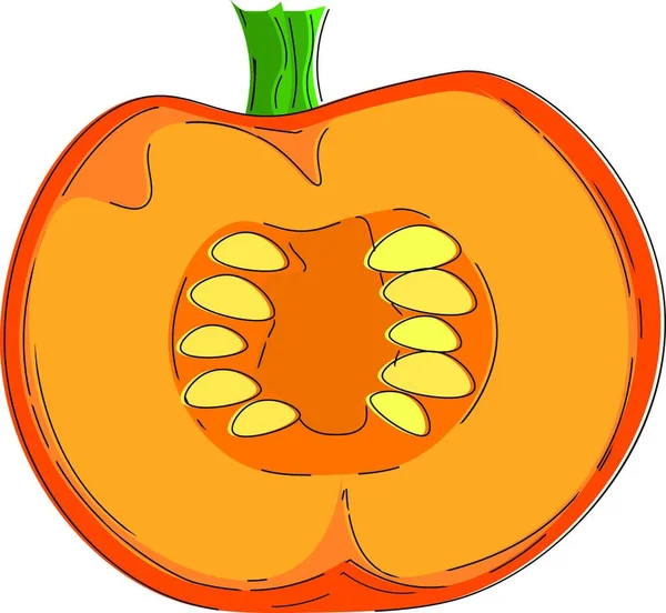 Big Pumpkin Cut Two Halves Which Had Lot Seeds Vector — Stock Vector