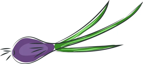 Una Cebolla Color Violeta Con Hojas Verdes Que Establecen Dibujo — Vector de stock