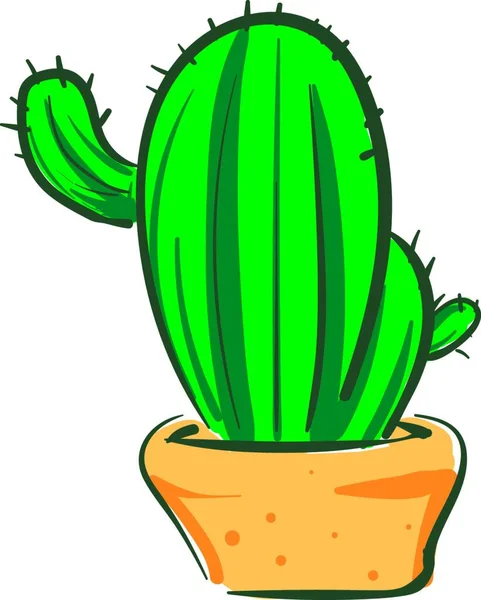 Long Big Cactus Orange Pot Which Fully Grown Vector Color - Stok Vektor