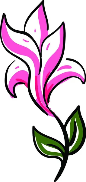 Boceto Una Hermosa Flor Rosa Con Hojas Verdes Vector Color — Archivo Imágenes Vectoriales