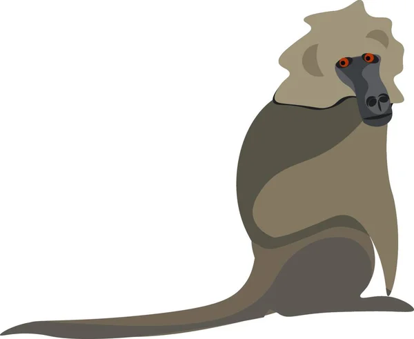 一个大型旧世界地面居住猴子的剪贴画在棕色的阴影与长狗一样的黑色鼻孔和两个红色的眼睛矢量彩色绘图或插图 — 图库矢量图片