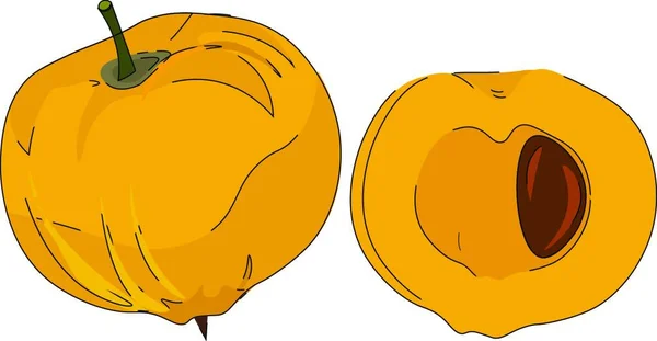 Dibujos Animados Fruta Huevo Amarillo Entero Medio Cortado Expone Dibujo — Archivo Imágenes Vectoriales