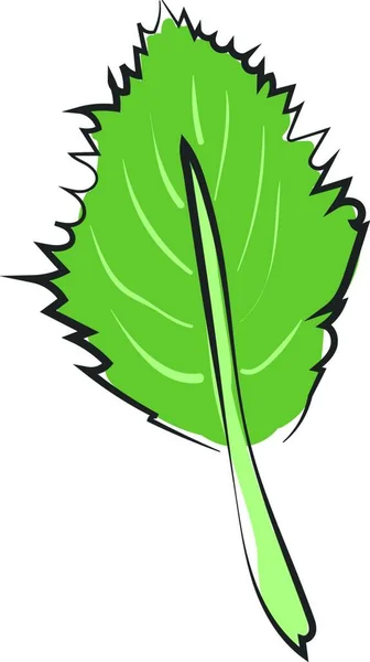 Clipart Una Foglia Verde Ovata Con Margine Disegno Illustrazione Colori — Vettoriale Stock