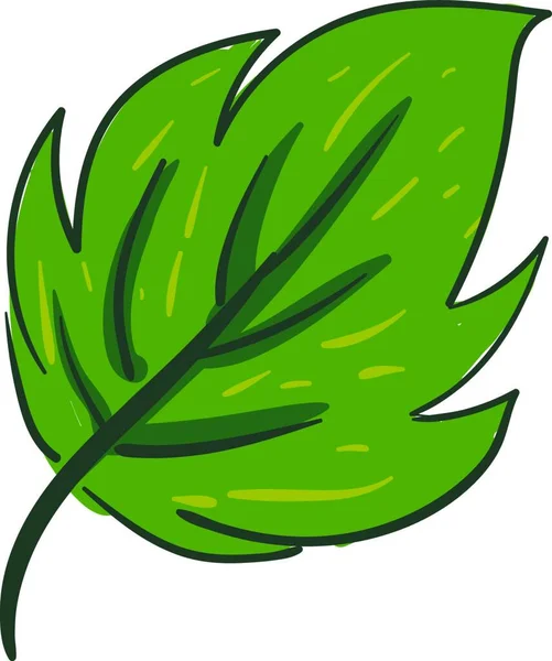 Clipart Van Een Ovaal Groen Blad Met Een Marge Kleine — Stockvector