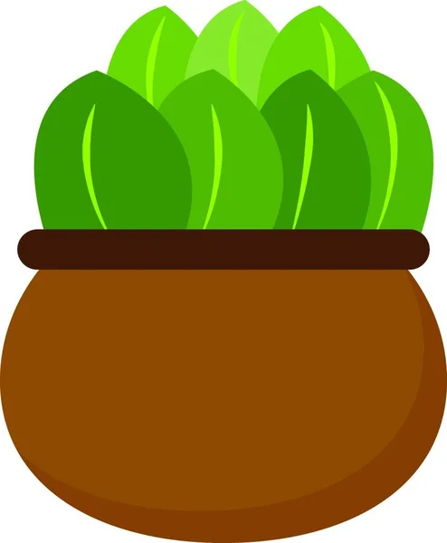 Cliparts Einer Grünen Pflanze Mit Ovalen Blättern Und Gelben Rändern — Stockvektor