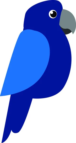 Cute Little Cartoon Blue Parrot Stout Grey Comma Shaped Beak — Stock Vector