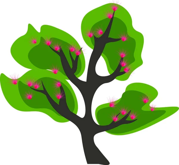 Clipart Grand Acacia Vert Ramifié Avec Des Fleurs Qui Sont — Image vectorielle