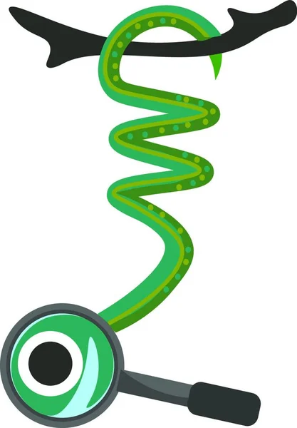在放大镜矢量彩色绘图或插图的帮助下 从树枝上垂下来的绿色蛇的绘画放大了某人或物体 — 图库矢量图片