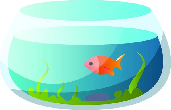 Beyaz Bir Arka Planda Bir Goldfish Vektör Illustration Ile Yuvarlak — Stok Vektör