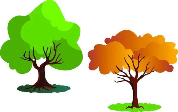 Dois Outono Árvore Vetor Ilustração Fundo Branco —  Vetores de Stock