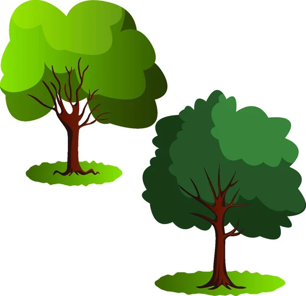 Casal Árvores Verdes Ilustração Vetorial Sobre Fundo Branco — Vetor de Stock