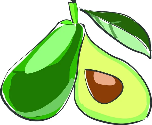 Piccolo Avocado Fette Con Foglie Verdi Disegno Colori Vettoriale Illustrazione — Vettoriale Stock