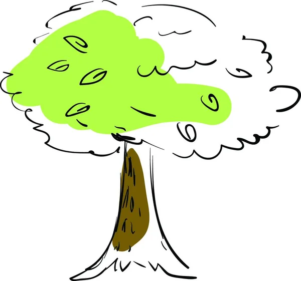 Boceto Aproximado Árbol Que Está Medio Pintado Vector Dibujo Color — Archivo Imágenes Vectoriales