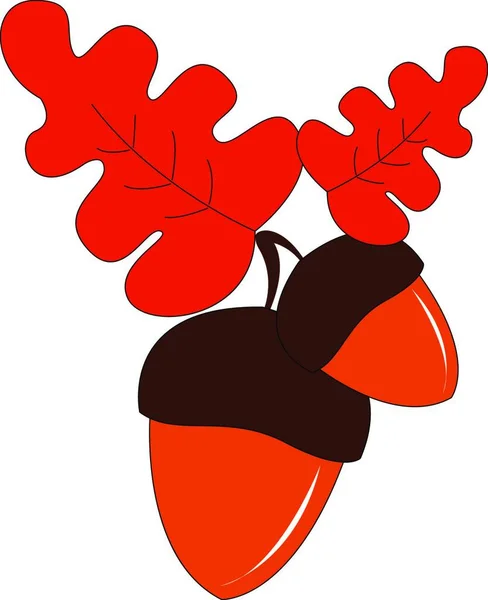 Paire Fruits Glands Couleur Orange Avec Des Tasses Couleur Brune — Image vectorielle