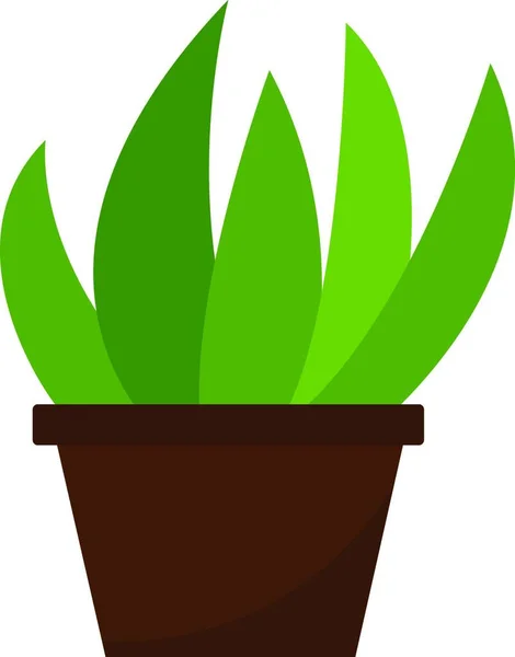 Clipart Planta Casera Con Hojas Verdes Ovaladas Alargadas Que Crecen — Vector de stock